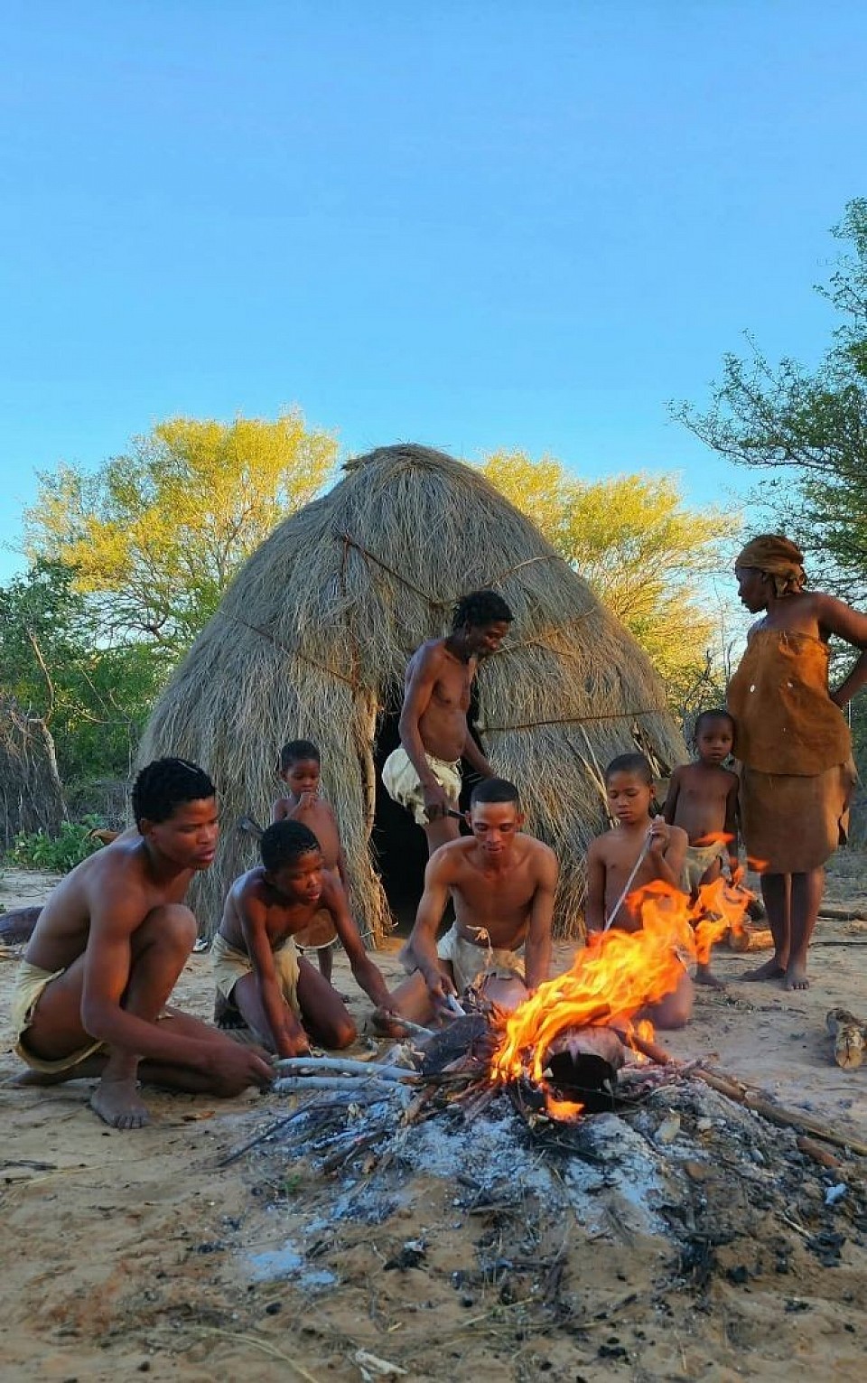 The kalahari cultural bushmans....