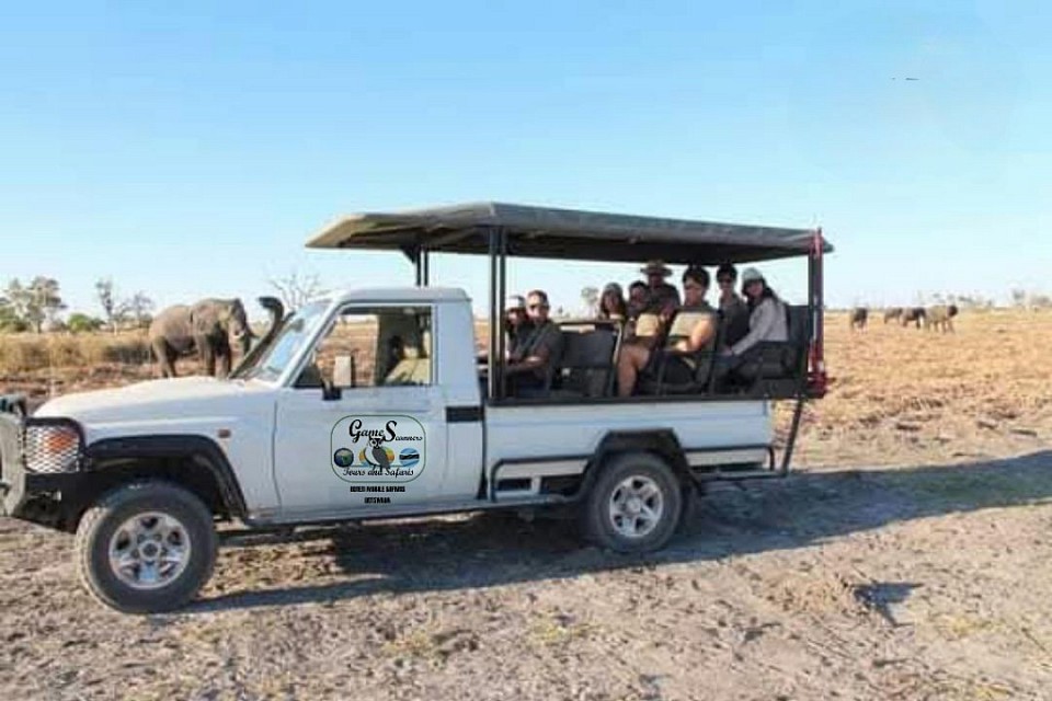 Moremi game reserve evening game drive