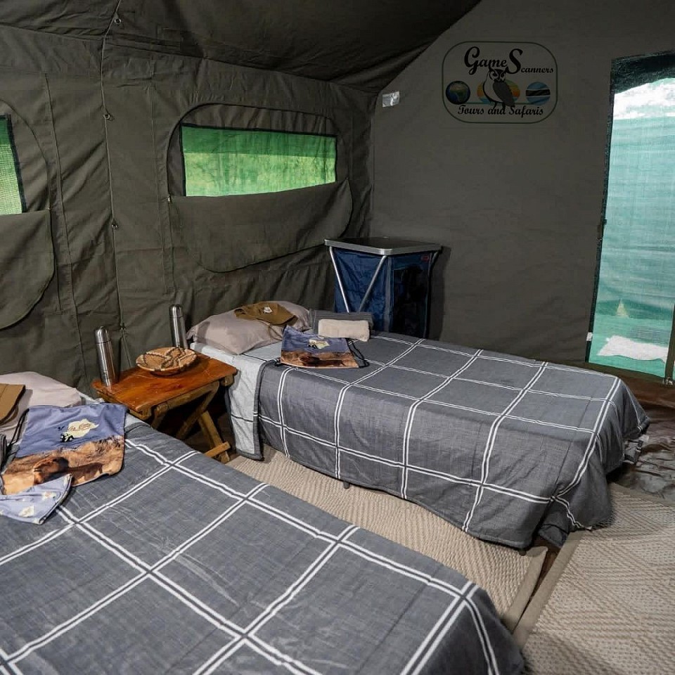 Sweet home in the wilderness