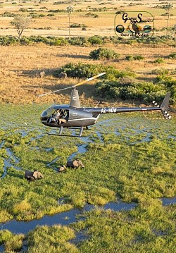 Taking the Okavango from the upper view in a helicopter scenic flight