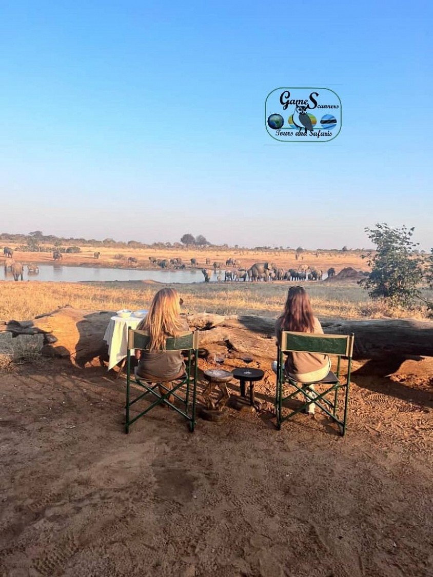 Water front pan just by our camp it invites good numbers of animals