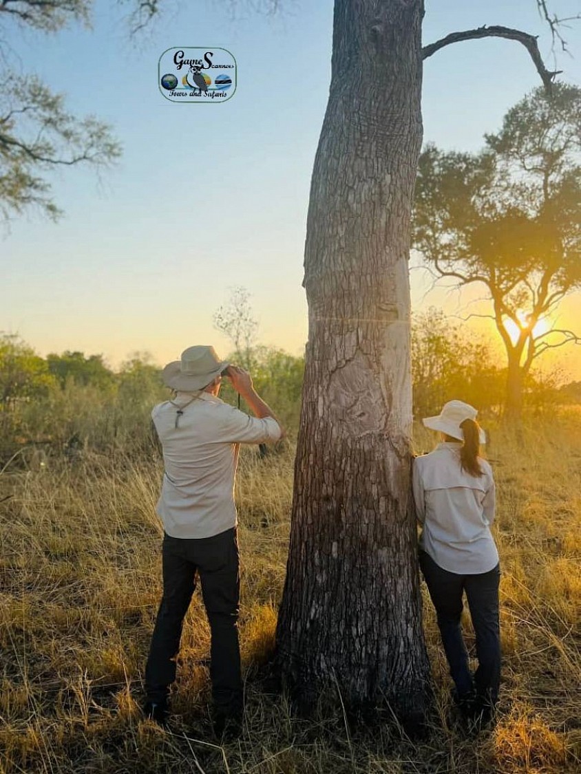 The golden sunset, Africa is unique