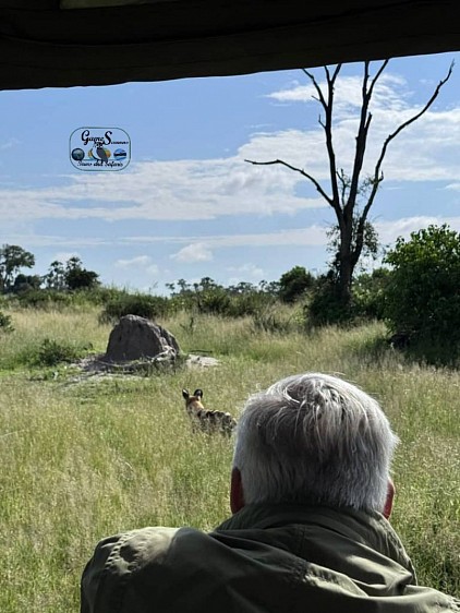 Bush game walk came positive right on African wild dogs encounter