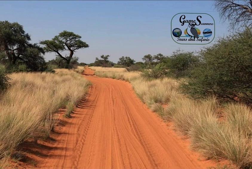 Off-road in Khutse game reserve