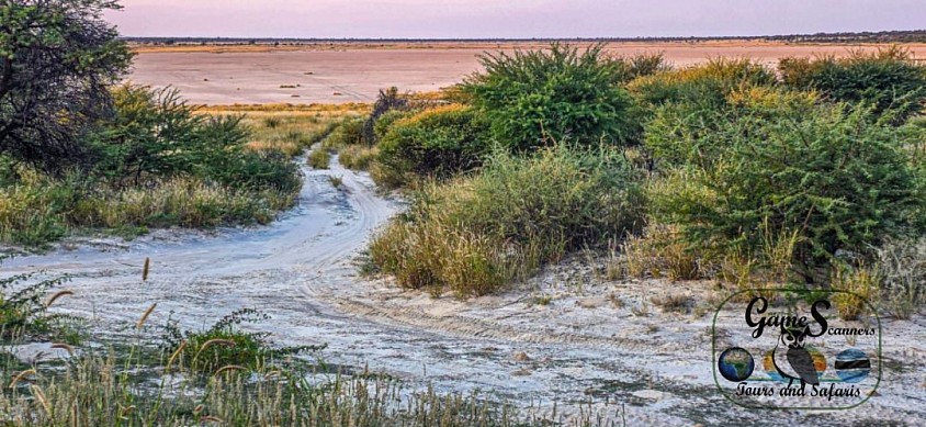 Deception valley in the central kalahari game reserve